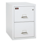 FireKing 2-Hour Fire-Rated Vertical File Cabinet (2 Drawer)