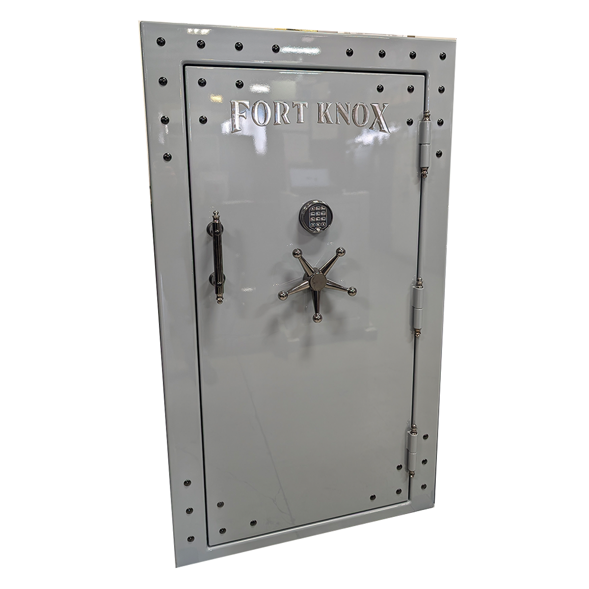 Fort Knox Protector 6637